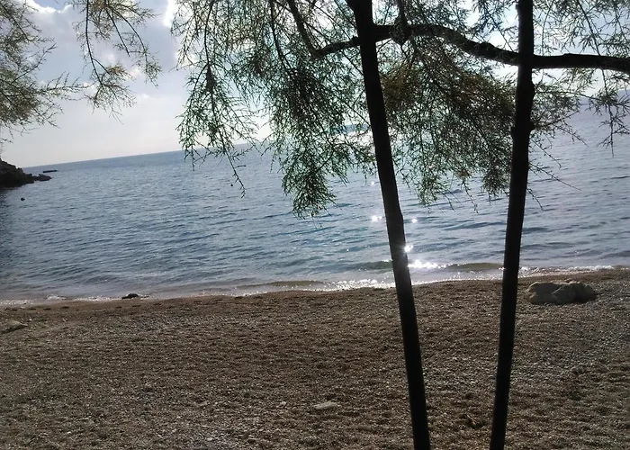 House Zlatko Дом отдыха